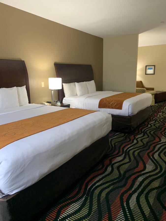 Comfort Suites Beaumont I-10 エクステリア 写真